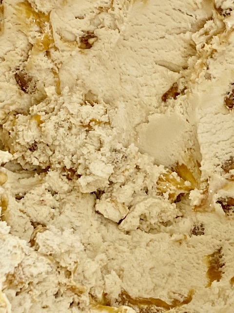 Praline Pecan Ice Cream